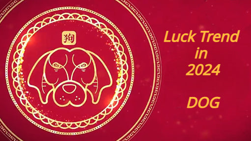 Overall Fortune for Dog Zodiac in 2024