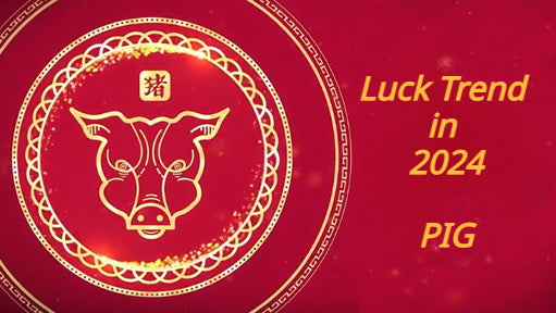 Overall Fortune for Pig Zodiac in 2024