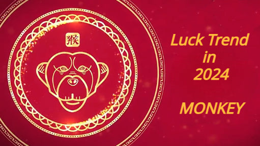 Overall Fortune for Monkey Zodiac in 2024