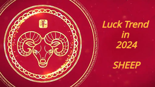 Overall Fortune for Sheep Zodiac in 2024